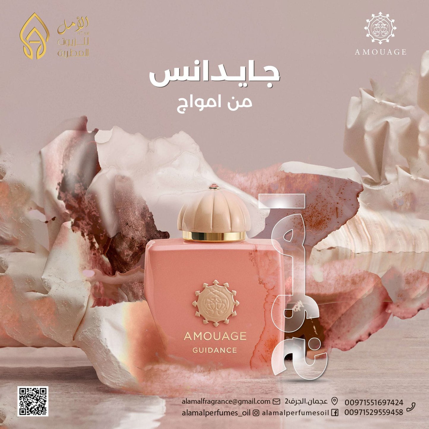 Guidance - جايدانس